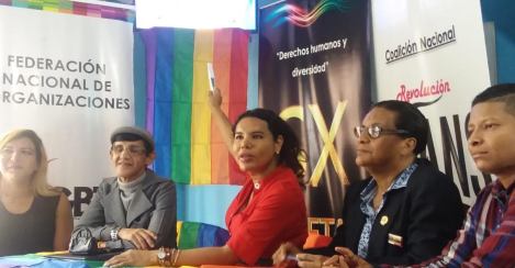 La Federación Ecuatoriana de Organizaciones LGBTI a traves de la Asociación Silueta X presentó el Estudio de percepción ciudadana de avances o retrocesos LGBTI 15